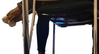Ebony Pedsock Shoeplay